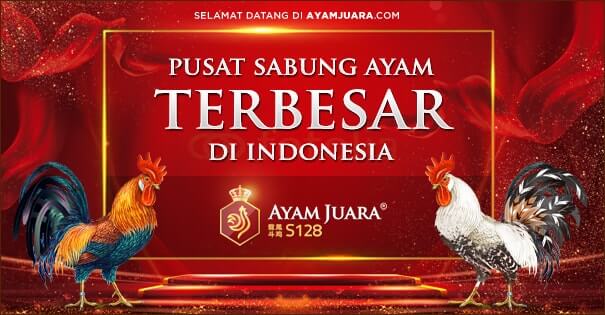Judi Online Sabung Ayam S128